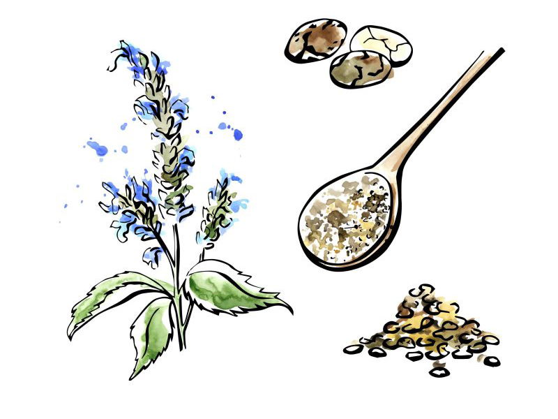 7 Enticing Health Benefits of Chia Seeds