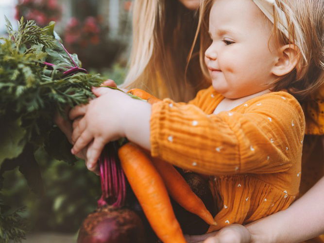8 Practical Tips For Living a Healthy, Plant-Based Lifestyle