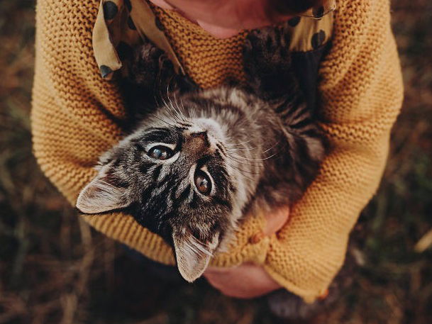 10 Reasons To Listen to Your Kid and Get That Pet