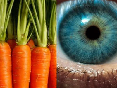 Nature’s Body Health Secrets: 7 Foods That Mirror the Body Parts they Maintain
